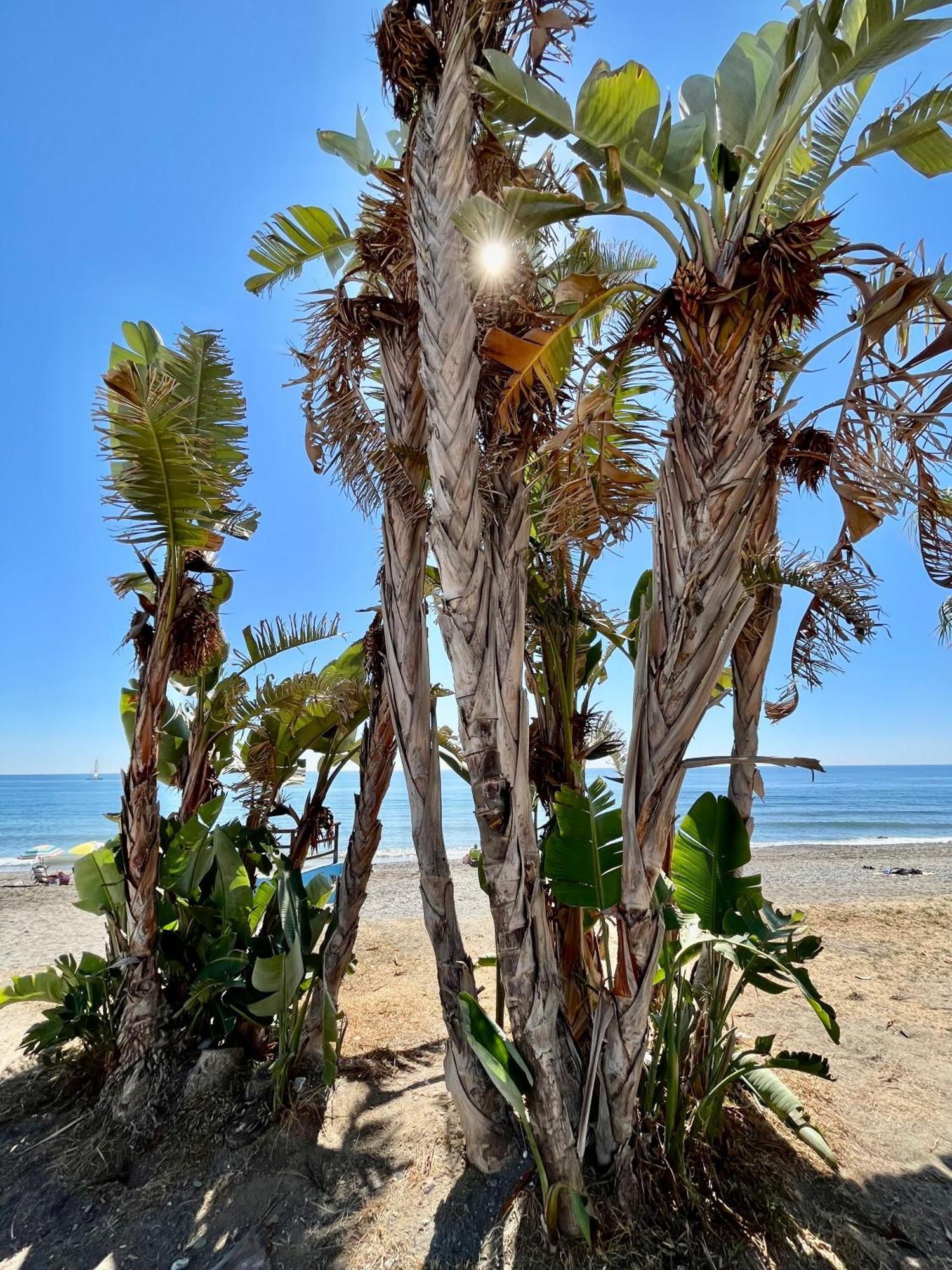 Apartamento De Playa Reformado リンコン・デ・ラ・ビクトリア エクステリア 写真