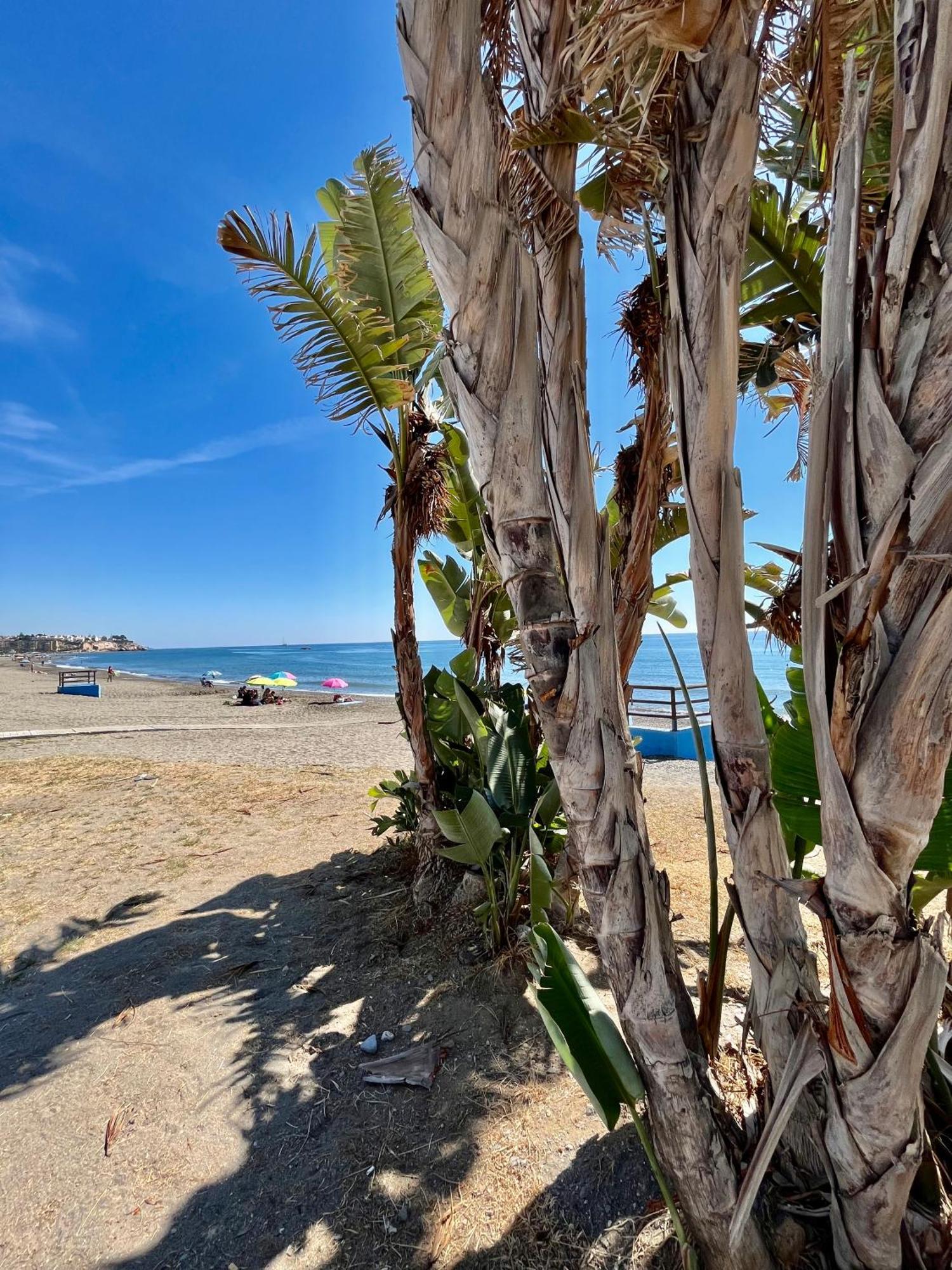 Apartamento De Playa Reformado リンコン・デ・ラ・ビクトリア エクステリア 写真